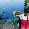watering-the-flowers.jpg