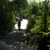 hue-motorbike-tour_28.jpg