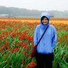 alice-in-the-flowers-in-the-rain.jpg