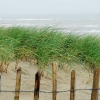 beach.jpg