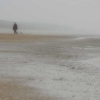 noordwijk-1.jpg