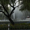 ho-chi-minh-saigon-7th-november_14.jpg
