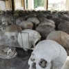 the-killing-fields-16th-november_25.jpg