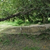 the-killing-fields-16th-november_27.jpg