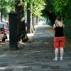 groenezoom-video.jpg